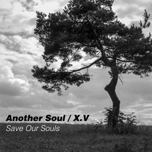 Another Soul, X.V. - Save Our Souls [TH425]